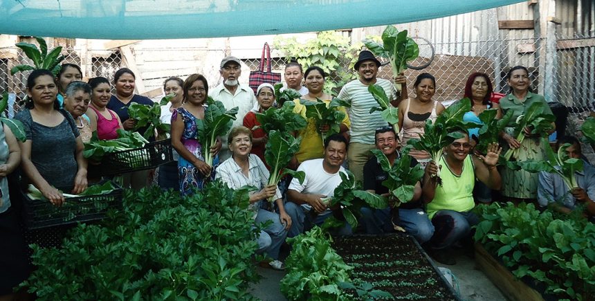 COCEAVIS: ARTICULANDO LUCHAS Y PROYECTOS DE VIDA COLECTIVOS