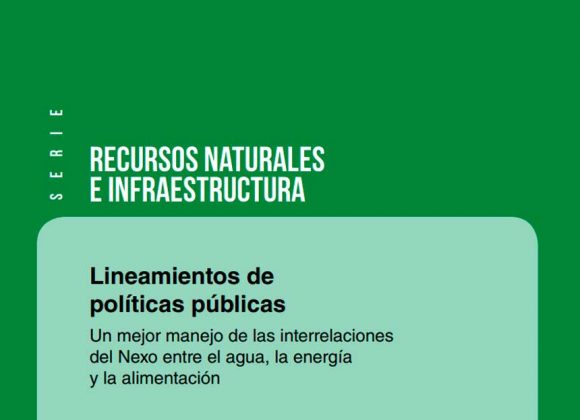 Lineamientos de políticas públicas: un mejor manejo de las interrelaciones del Nexo entre el agua, la energía y la alimentación