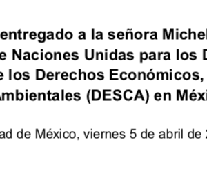 México – Documento entregado a  Michelle Bachelet, Alta Comisionada de la ONU, sobre la situación de los DESCA en México