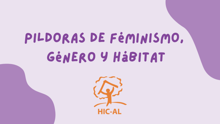 Curso “Género, feminismos y derecho al hábitat”