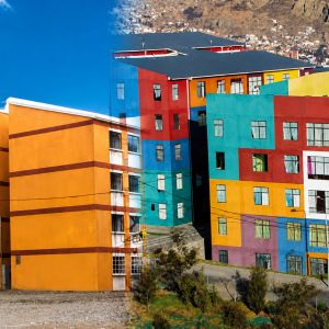 Estudios de caso: soluciones estatales de viviendas en condominios Estudios de caso: soluciones estatales de viviendas en condominios