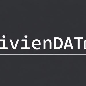 VivienDATA