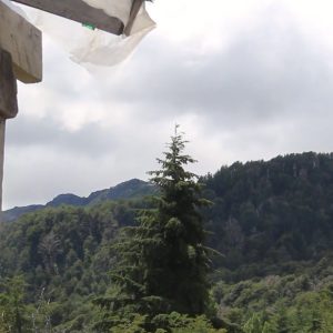 Nosotras, una biografía situada, EPISODIO 2